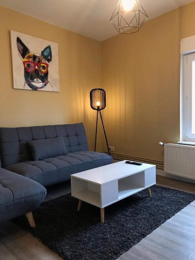 Confort - Nancy Centre - Chambre - Salle De Sport - 45 M2 Экстерьер фото
